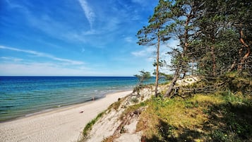 Beach nearby, sun loungers