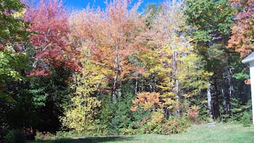 Terrain de l’hébergement