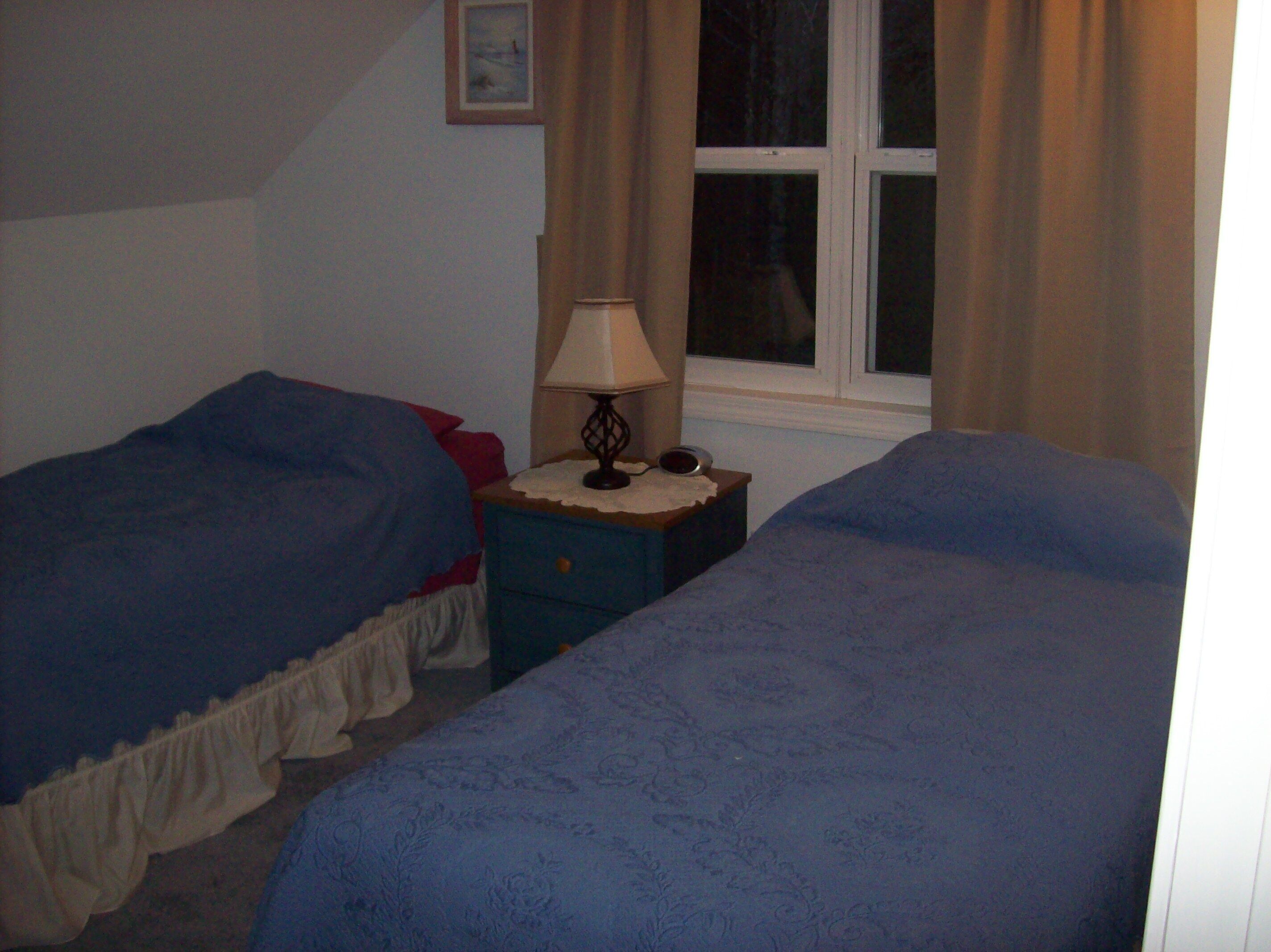 A bedroom with two single beds, a nightstand with a lamp, a window with curtains, and a framed picture on the wall.