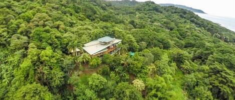 A house surrounded by dense tropical vegetation on a hillside with a view of the ocean.