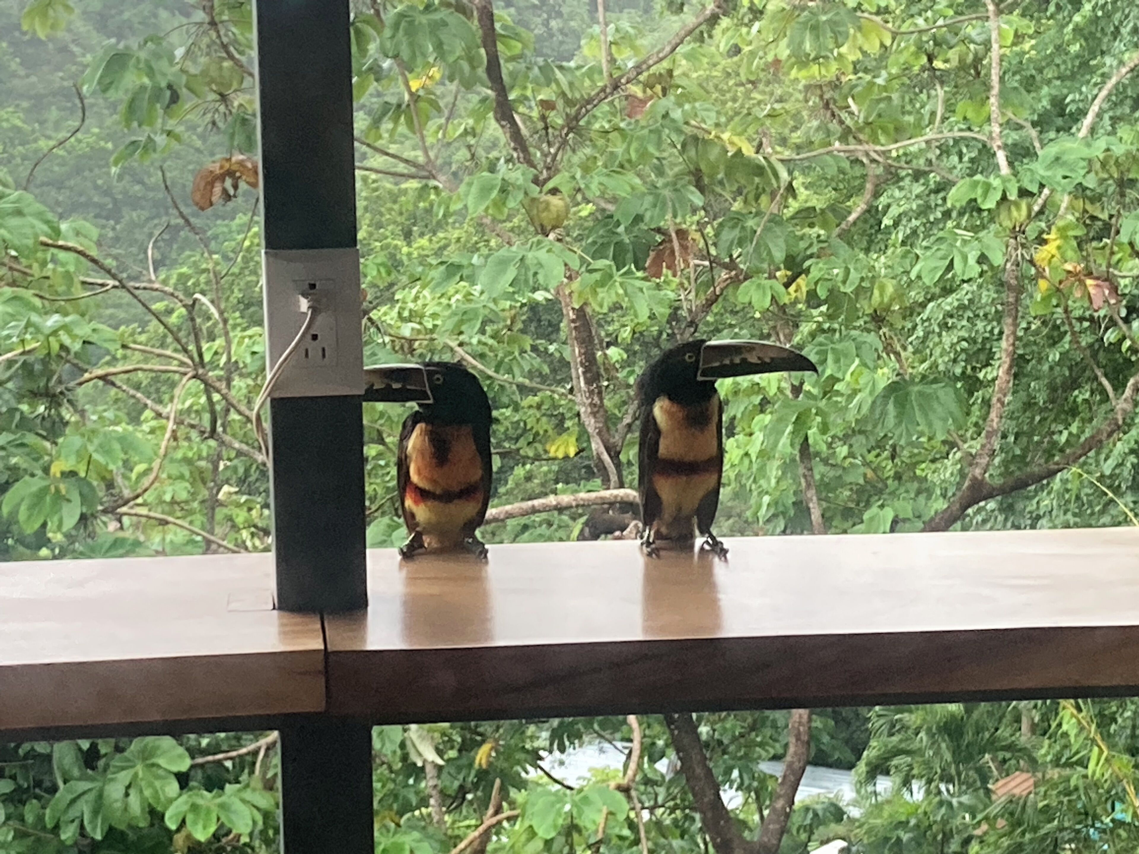 superior house | terrace/patio