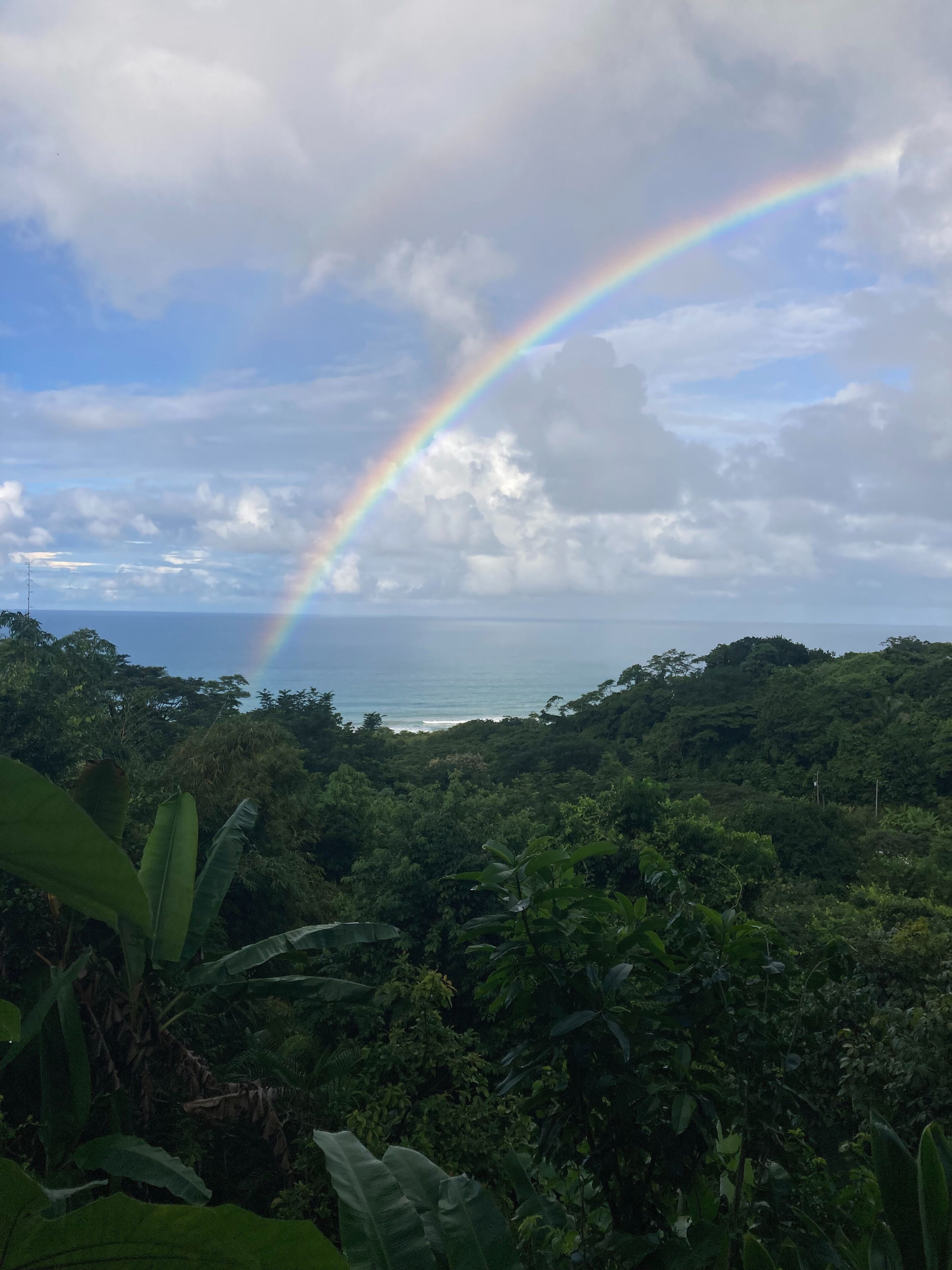 A lush green landscape with a rainbow arching over a body of water.