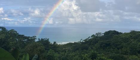 A lush green landscape with a rainbow arching over a body of water.