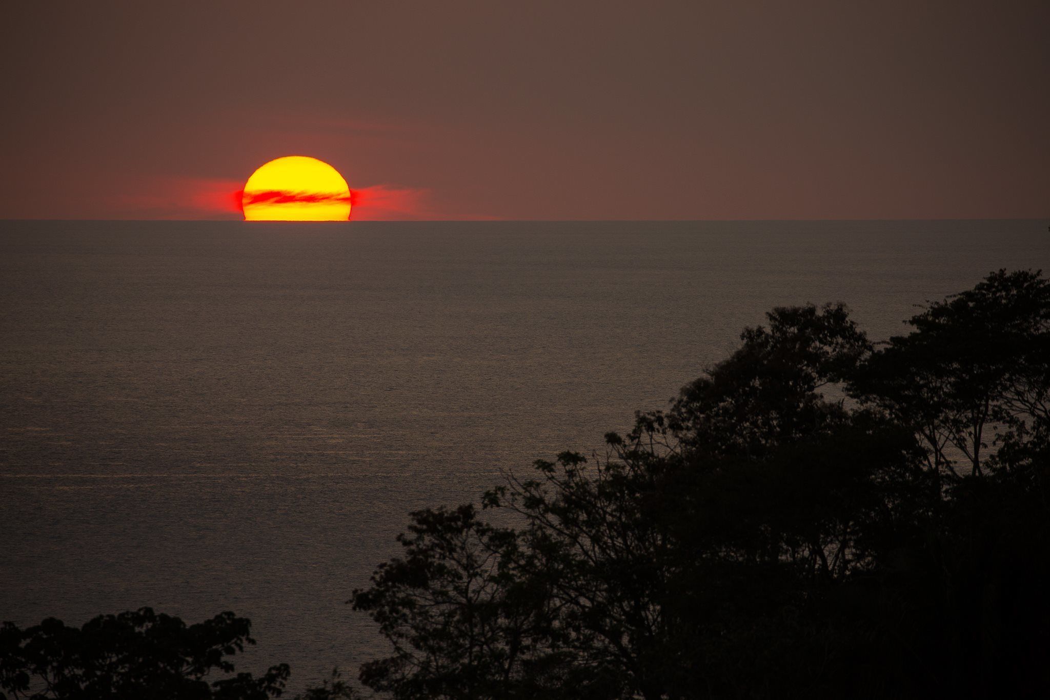 Un atardecer sobre un mar tranquilo, con siluetas de árboles en primer plano.
