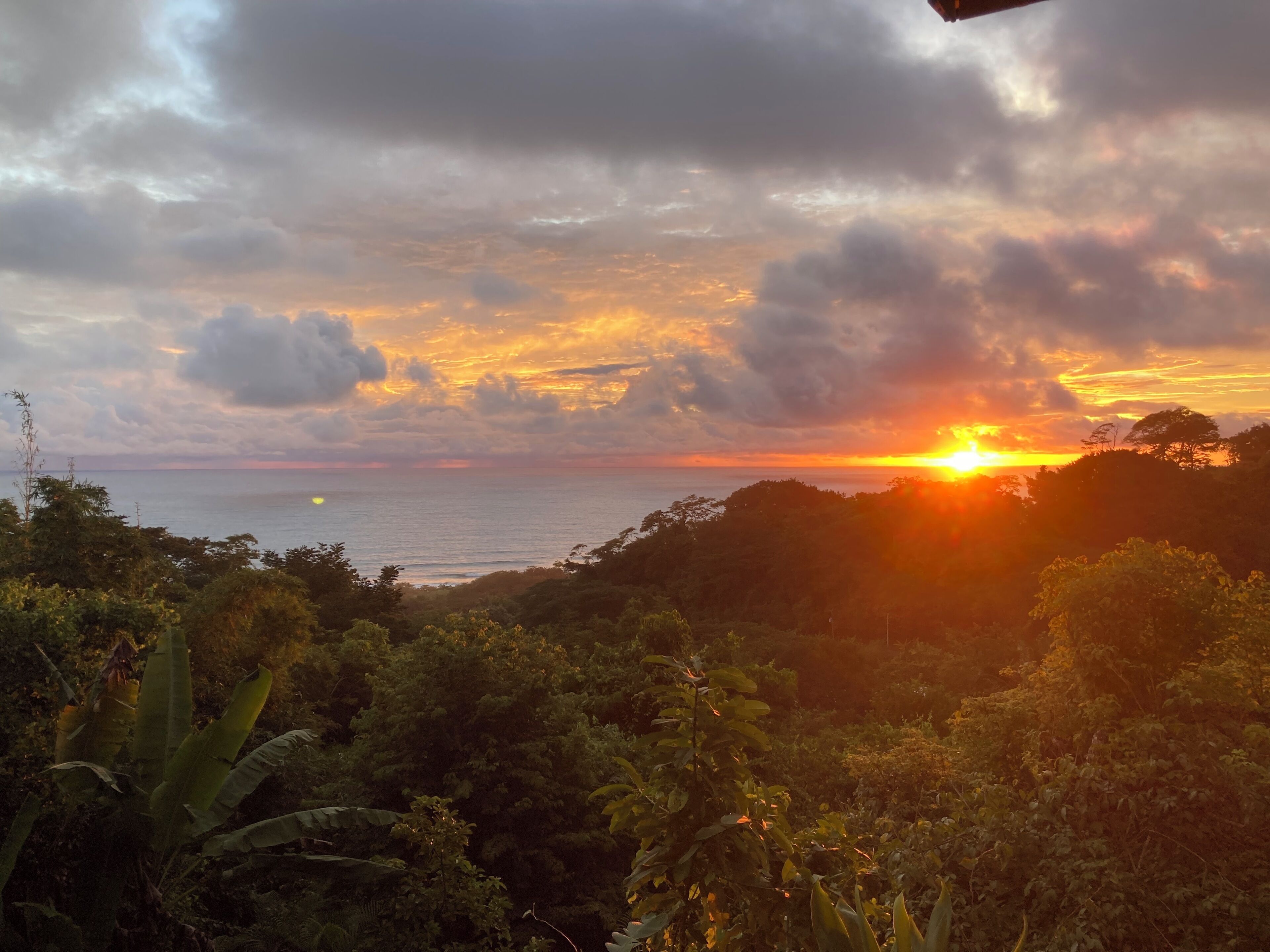 Un coucher de soleil sur un paysage côtier, avec une végétation luxuriante au premier plan.