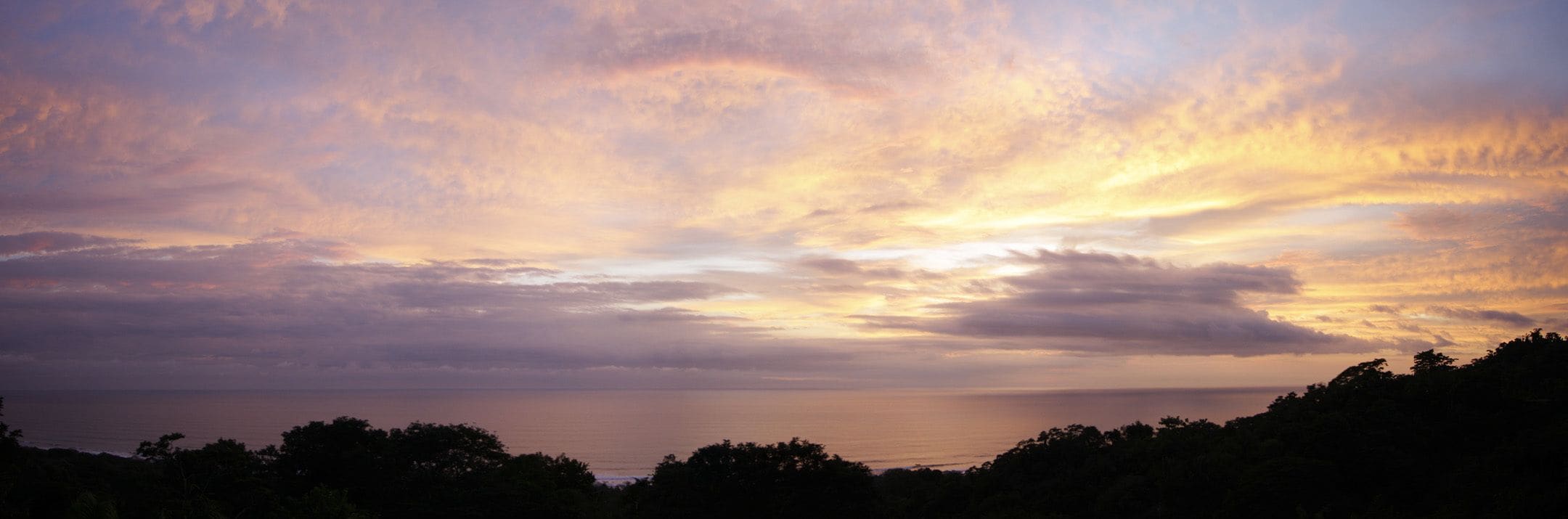 A sunset over a coastal landscape with trees silhouetted against the sky.
