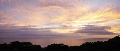 A sunset over a coastal landscape with trees silhouetted against the sky.