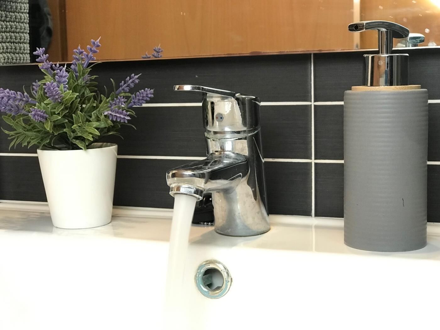 A modern bathroom with a chrome faucet, a potted lavender plant, and a cylindrical soap dispenser.