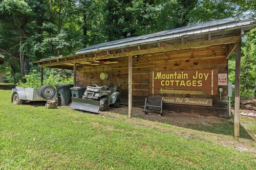 Mountain Joy Cottage #9  # BR log cabin
