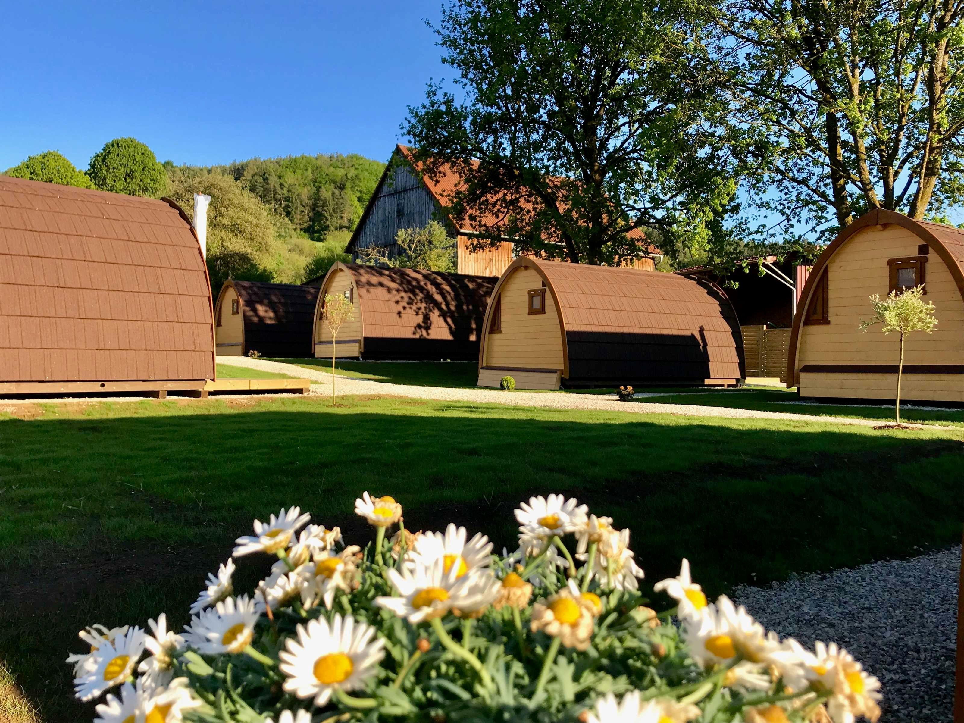 Een rij eenvoudige, houten chalets met puntige daken, omringd door een verzorgd gazon en een kleine tuin met margrieten.