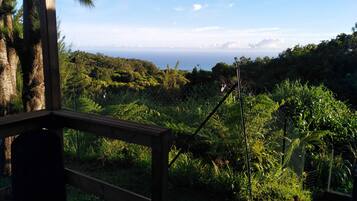 Àrea exterior de l'allotjament