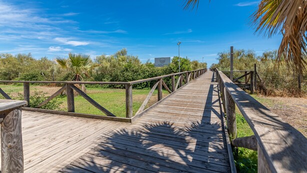 A wooden boardwalk leading through a natural landscape with trees and a clear sky. - Playa Grande - Punta del Moral Beach PPHG67P42 (Punta del Moral)