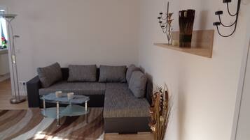 Fernseher, DVD-Player, Bücher, Musikbibliothek