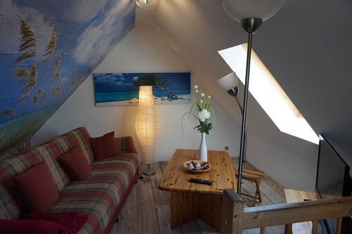 3 - Seenedig - Sundancer