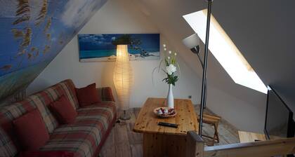 3 - Seenedig - Sundancer