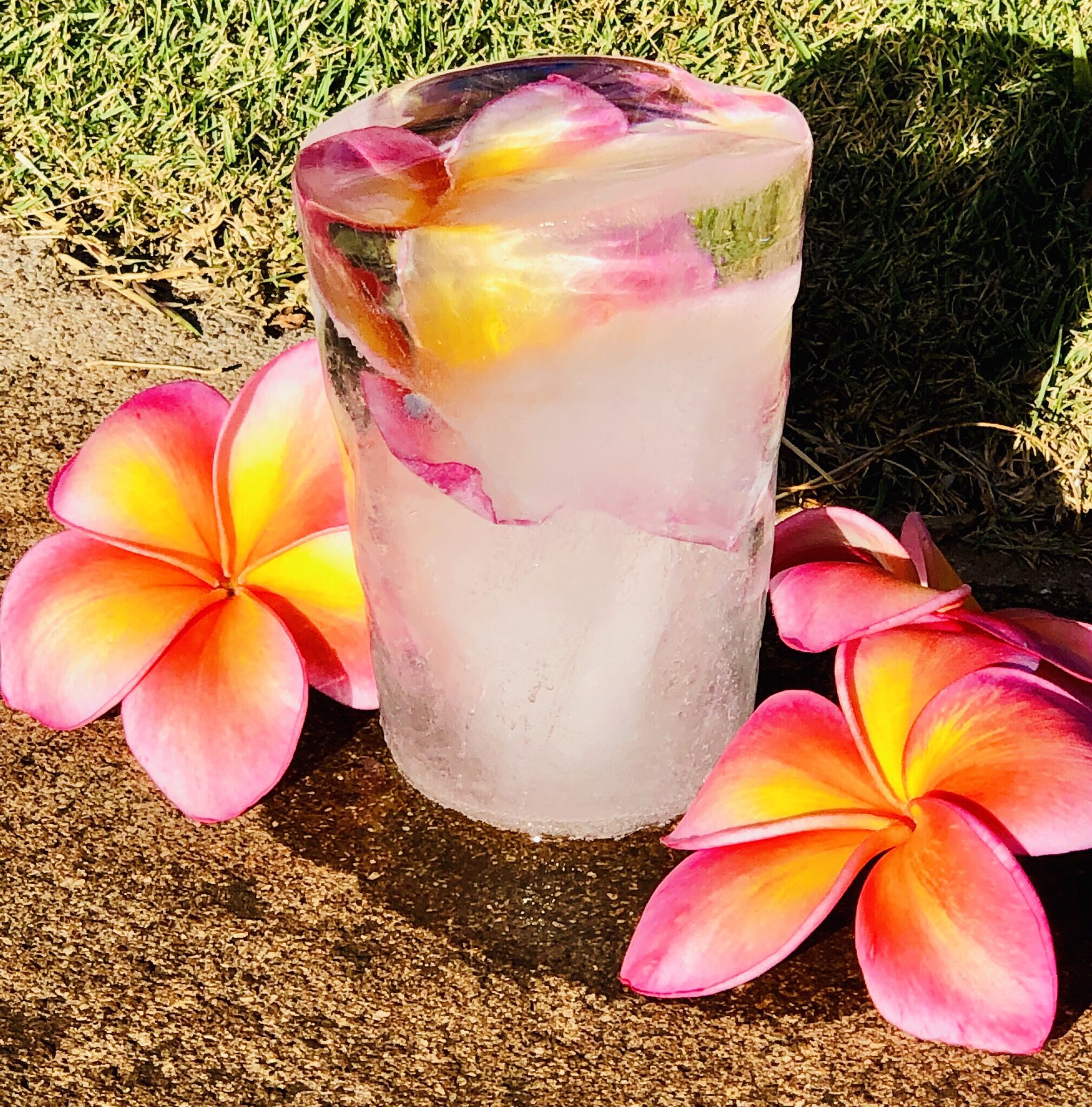 A glass of iced beverage with a straw, surrounded by two plumeria flowers on a sandy surface.