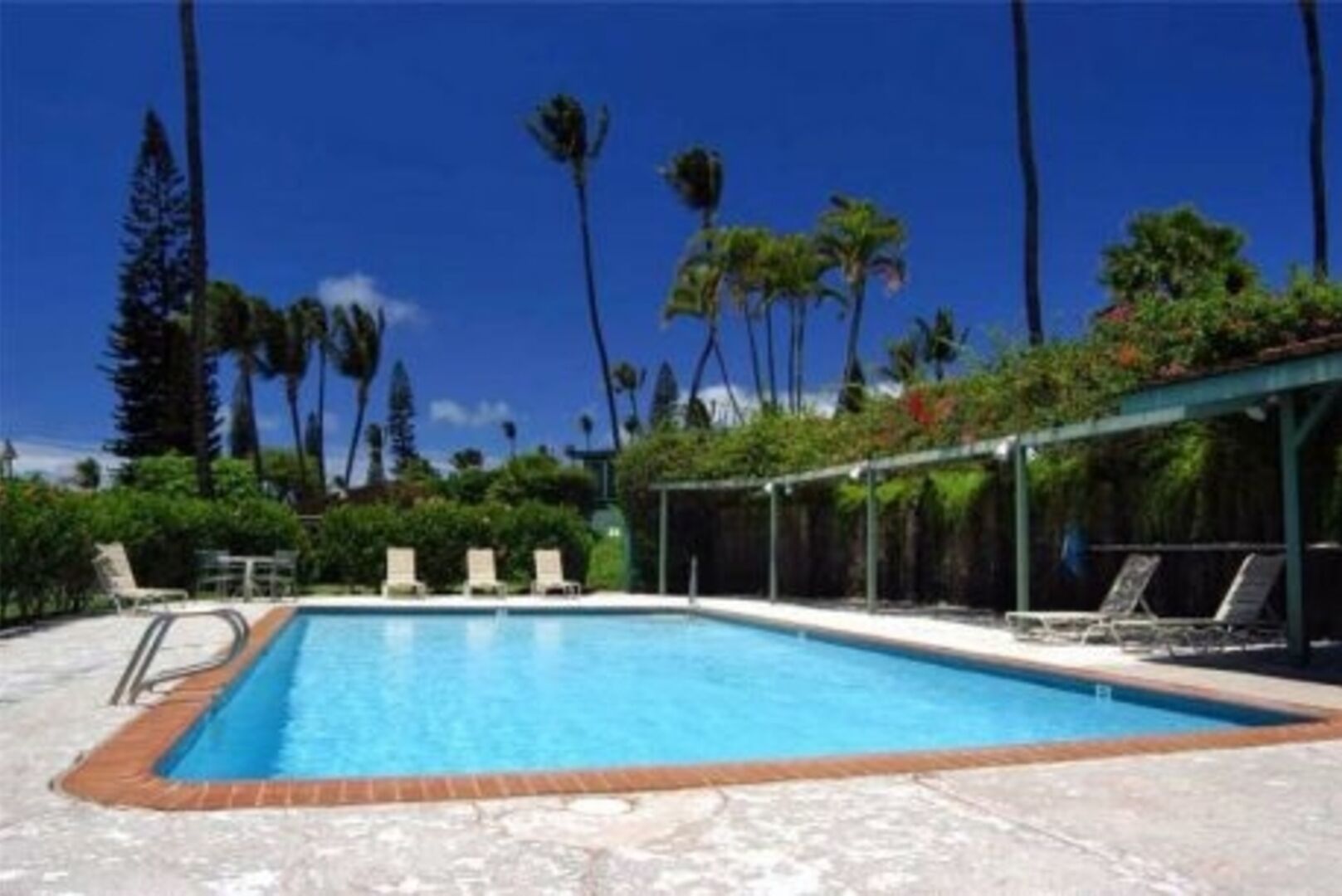 Une piscine avec des chaises longues et des palmiers en arrière-plan.