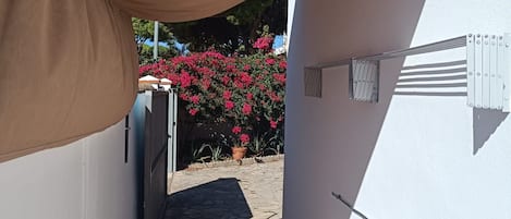Un estrecho pasillo exterior con un toldo marrón, una pared blanca y una planta en maceta con flores rojas.