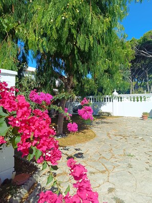 A courtyard with a tree, pink bougainvillea flowers, and a white wall. - Chalet La Costa, close to the beach and with Wifi (Chiclana de la Frontera)