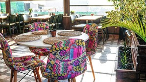 Un comedor con mesas redondas, sillas coloridas y plantas en macetas.