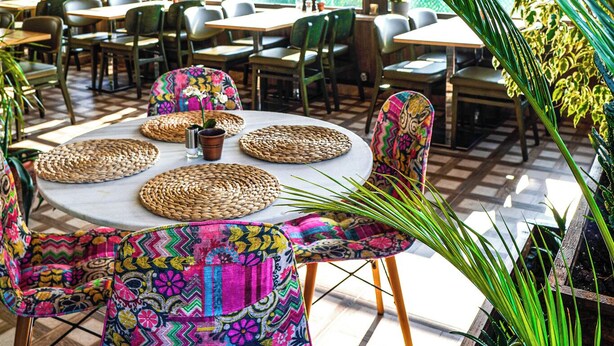 Un restaurante con mesas redondas, sillas y una planta grande en maceta.