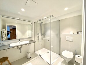 Shower, hair dryer, towels, soap - Modern loft for 2-4 persons, SWIMMING POOL in the garden, pets allowed (Telfes)
