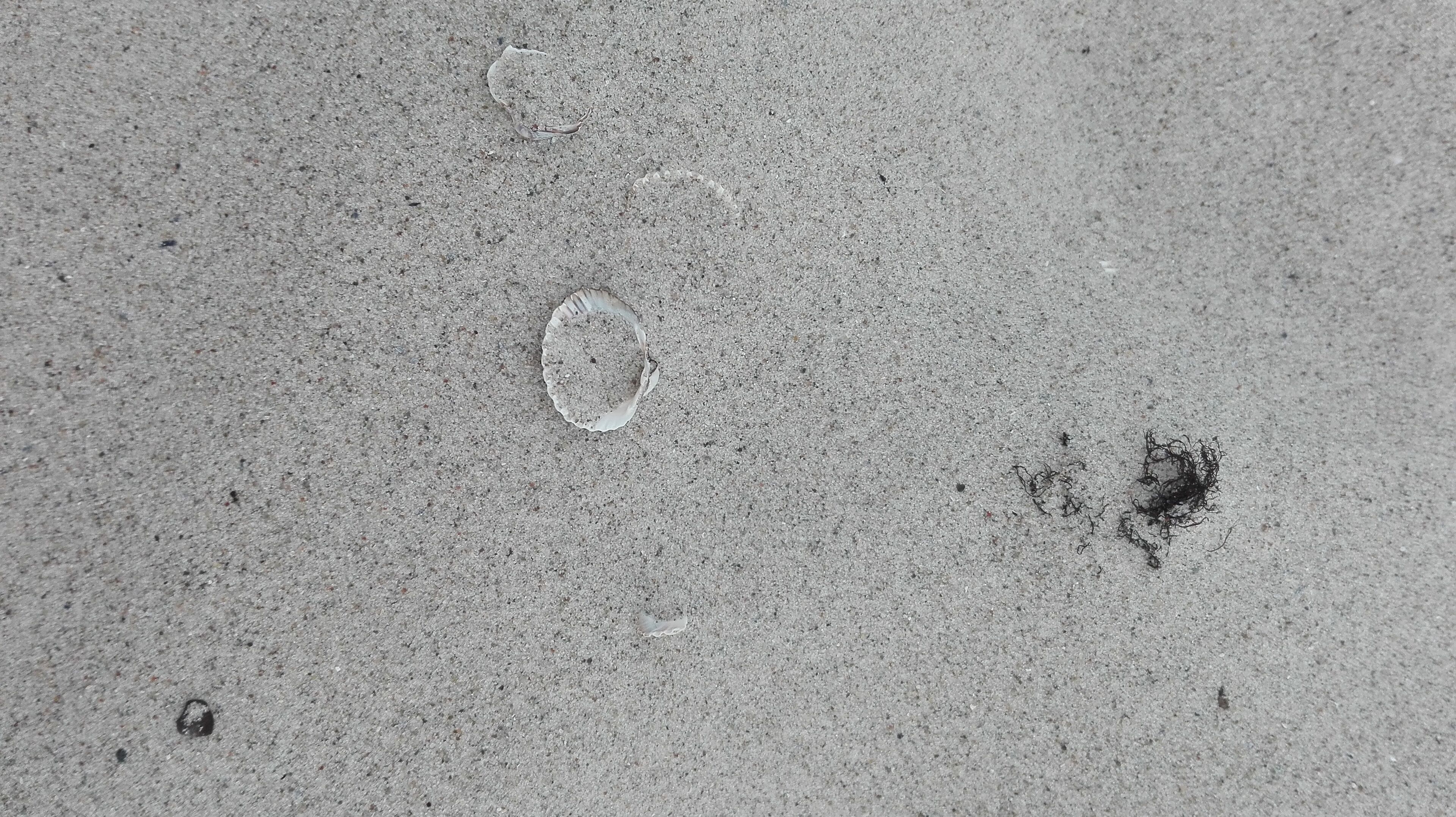 A close-up of a textured concrete surface with a circular indentation and some debris.