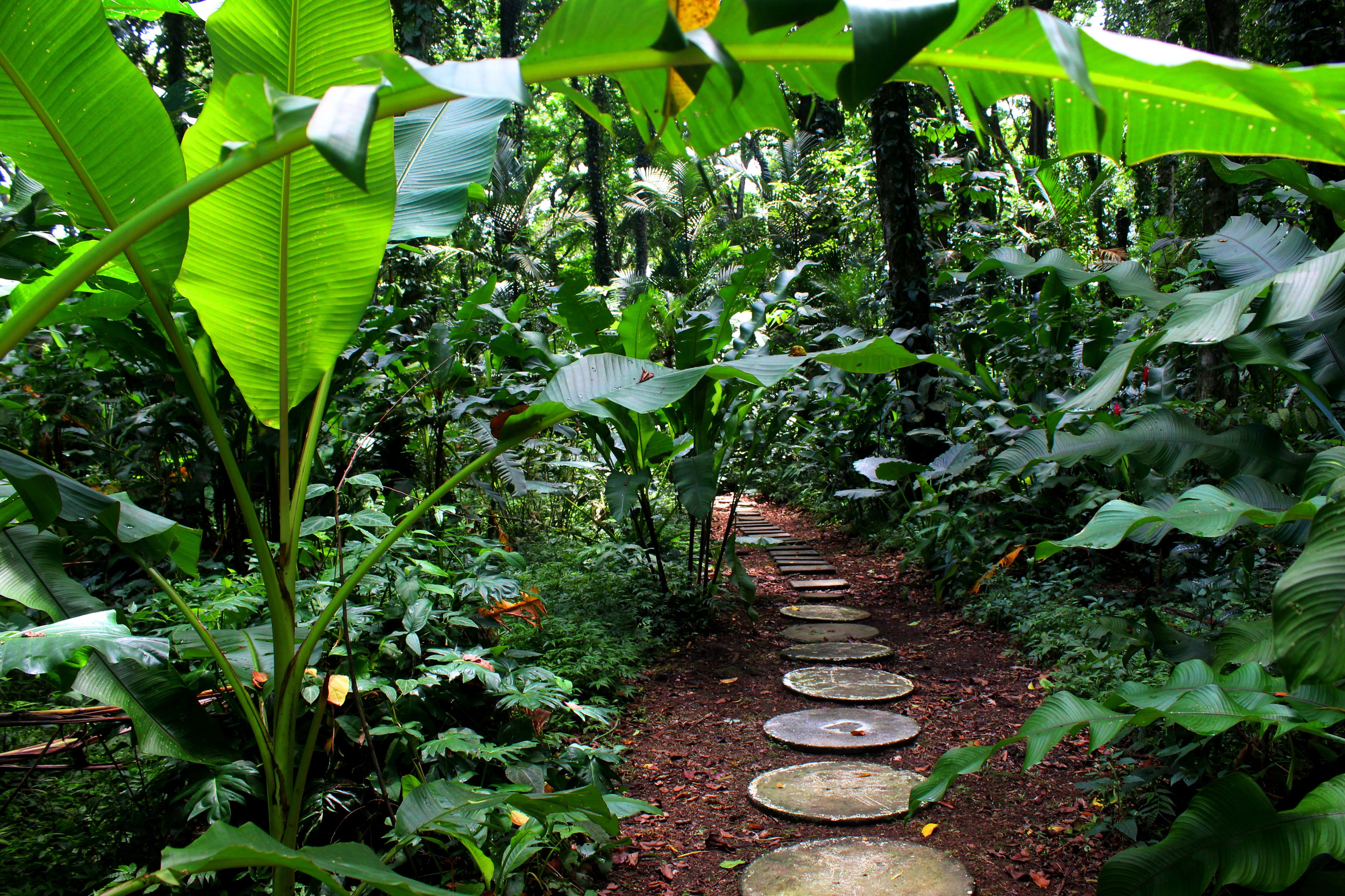 Ubicación cercana a la playa y masajes en la playa