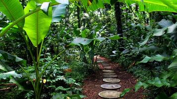 Una playa cerca, masajes en la playa