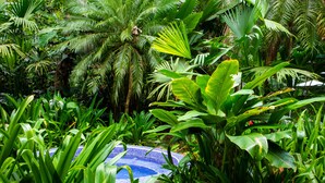 A lush tropical garden with a swimming pool surrounded by dense foliage. - Casa Cerise (Cahuita)
