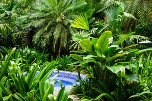 Outdoor pool, pool umbrellas, pool loungers - Casa Cerise (Cahuita)