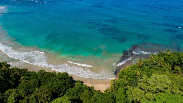 An aerial view of a beach with clear turquoise waters, sandy shore, and dense green foliage. - Casa Cerise (Cahuita)