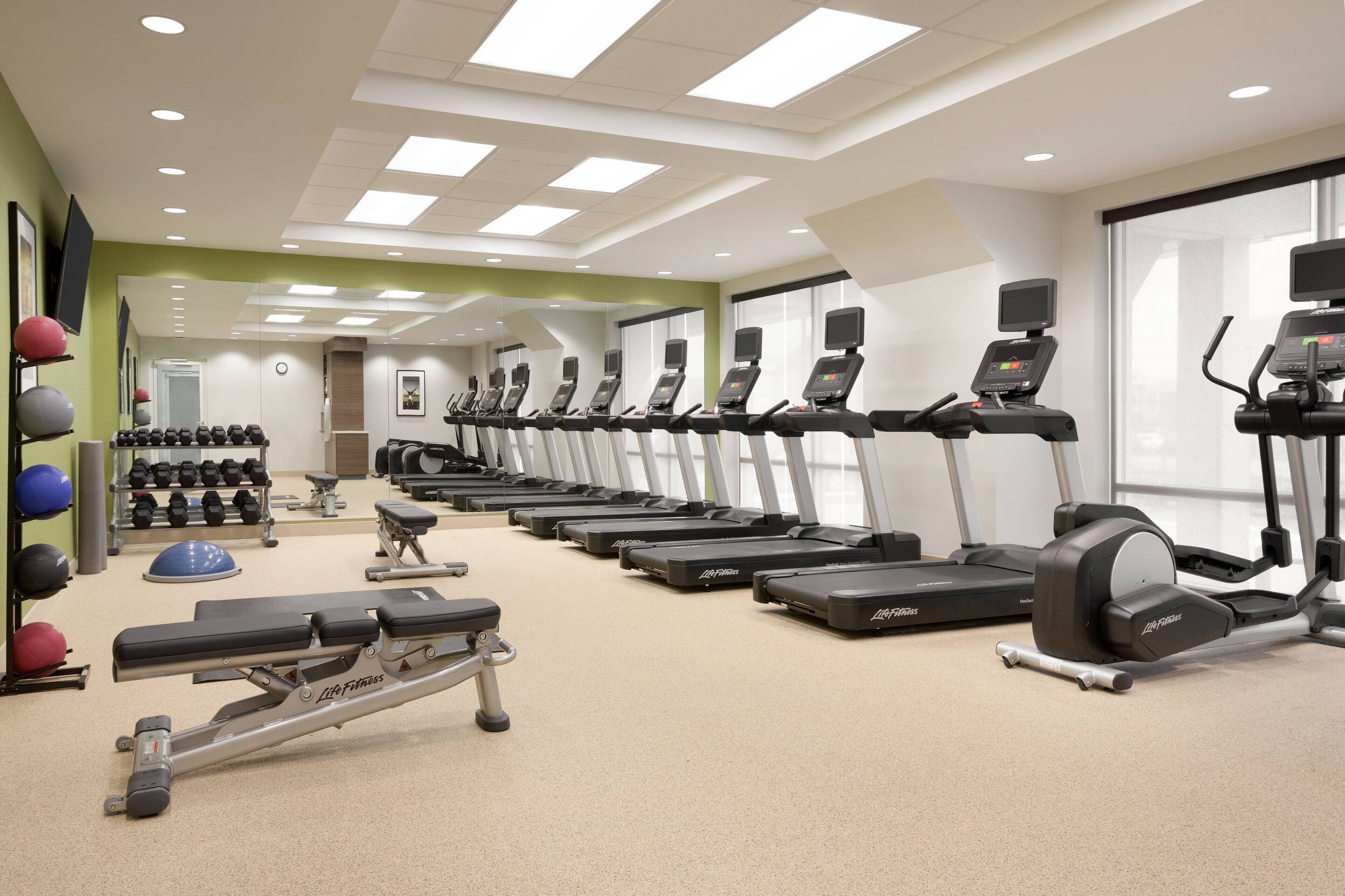 Un gimnasio con cintas de correr, mancuernas y un banco.