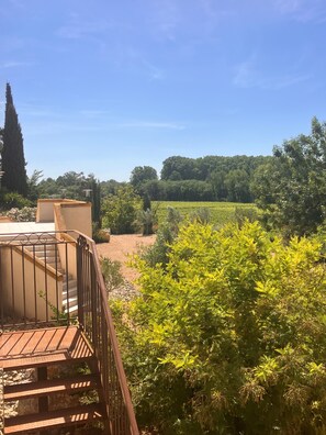 A wooden deck with a staircase leading to a building, surrounded by lush greenery and a vineyard in the background.