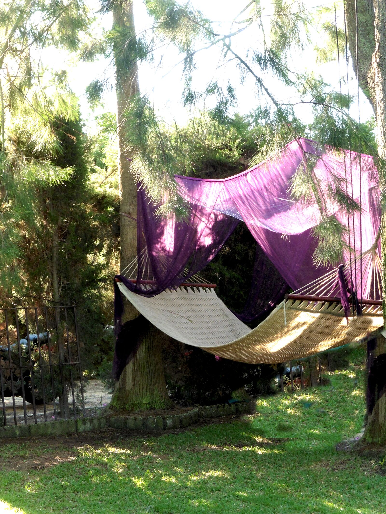 Een hangmat, opgehangen tussen bomen in een bebost gebied.