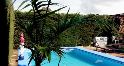 Comfortable apartment and swimming pool in the shade of the pine forest of Chipiona