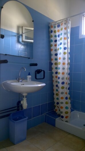 Hair dryer, towels - tree garden town house (Montpellier)