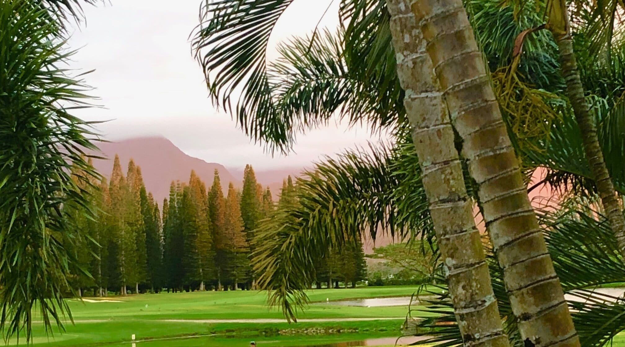 Campo de golf con palmeras y una montaña al fondo.