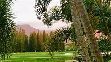 Campo de golf con palmeras y una montaña al fondo.