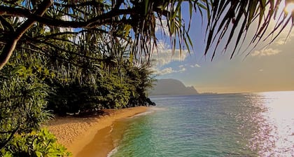 Modern Island Studio in a spectacular location on Kauai’s lovely North Shore