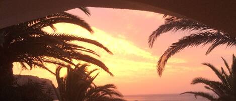 Utendørsbasseng og solsenger