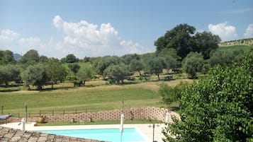 Seasonal outdoor pool, pool umbrellas, pool loungers