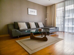 Smart TV, chimenea, reproductor de DVD y libros 