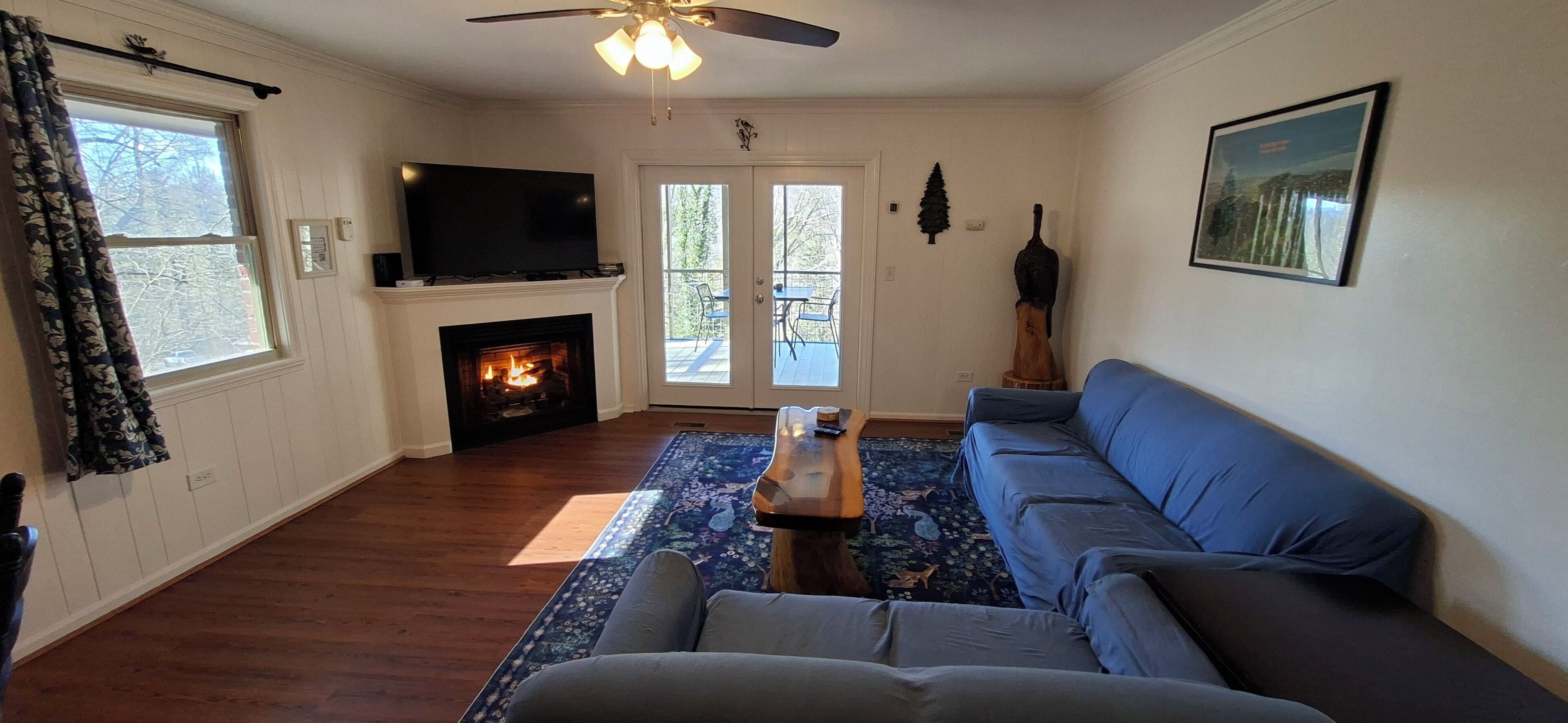 Smart TV, chimenea, reproductor de DVD, videoteca