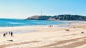 Plage, chaises longues