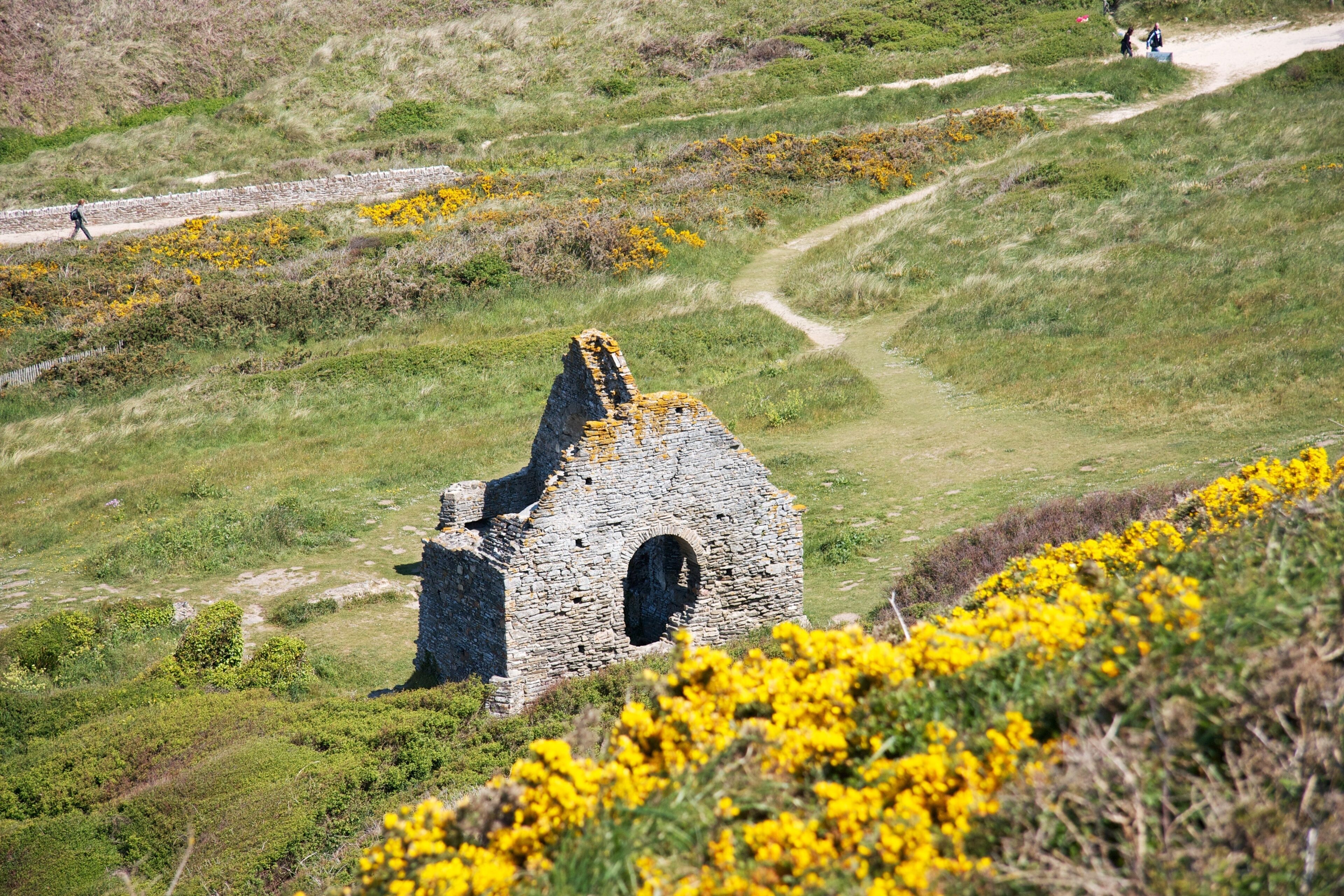A stone ruin with a circular opening, surrounded by green grass and yellow flowers.