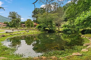 المنطقة المحيطة بالمنشأة