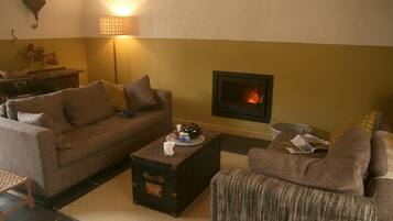 Smart TV, fireplace, books