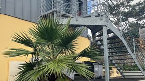 A building with a stone wall and a palm tree in front. - SEAFRONT, BREATHTAKING 180°VIEW overlooking the Ocean,3 bedrooms,Private Parking (Barneville Carteret)