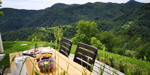 Outdoor dining - Luxury apartment in a family country house on top of  the hill (Tolmin)